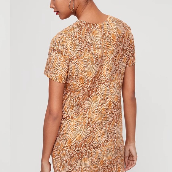 Aritzia Patricio Dress - Picture 8 of 15